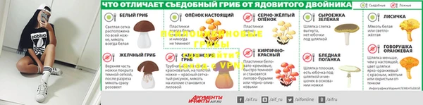 гидра Заволжье