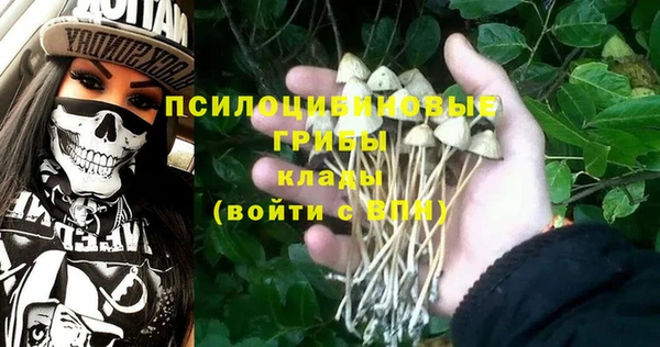 мескалин Заводоуковск