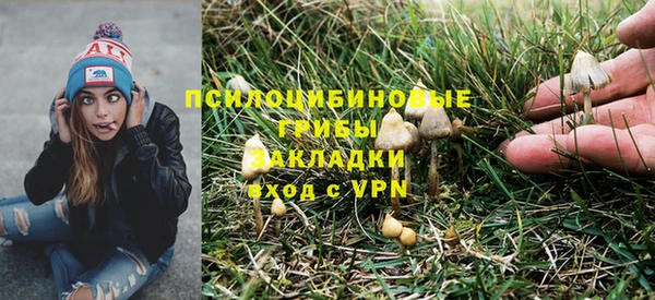 мескалин Заводоуковск