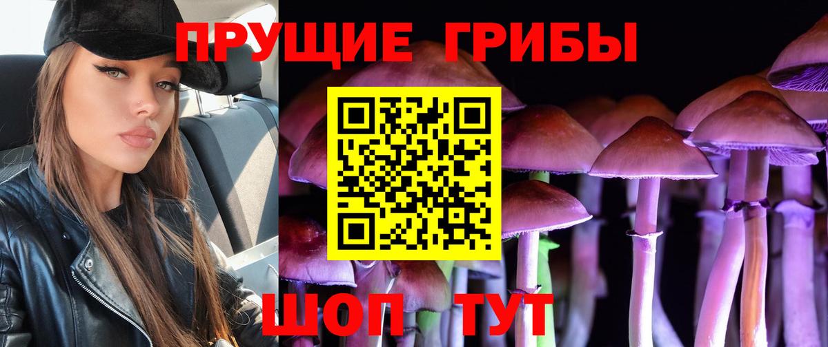 Псилоцибиновые грибы MAGIC MUSHROOMS  продажа наркотиков  Ирбит  Вход с VPN 